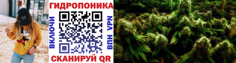 Бошки Шишки Bruce Banner  что такое   Калтан 